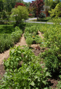 rcla_pollinator_garden_0516