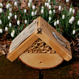 This habitat box provides overwintering shelter for Solitary Bees