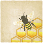 bee honeycomb old background - vector illustration