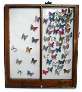 butterfly window