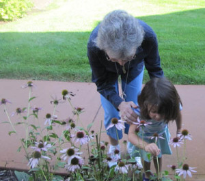 smelling_coneflowers